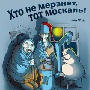 О переводе украинских сёл с газа на помёт и ветки. Почему это шаг вперёд О переводе украинских сёл с газа на помёт и ветки. Почему это шаг вперёд