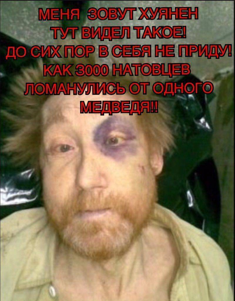 В Финляндии медведь пробрался на военную базу и сорвал учения с участием 3 тыс. солдат В Финляндии медведь пробрался на военную базу и сорвал учения с участием 3 тыс. солдат