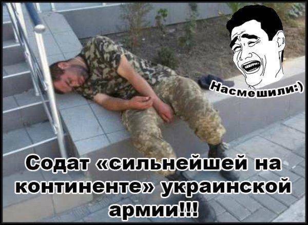 Последний пикник украинских солдат Последний пикник украинских солдат