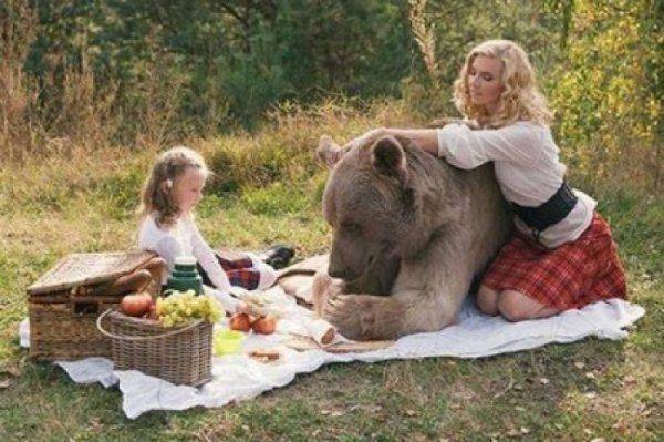 «Панда Вальцмана» в ужасе: перспектива - один на один с Россией «Панда Вальцмана» в ужасе: перспектива - один на один с Россией