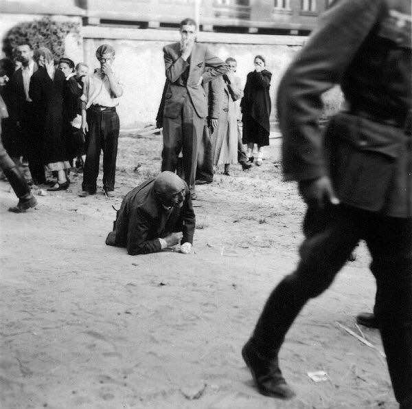 Львовский погром 1941 года Львовский погром 1941 года