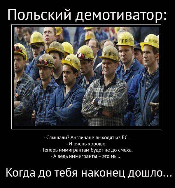 За что в Британии массово избивают поляков? За что в Британии массово избивают поляков?