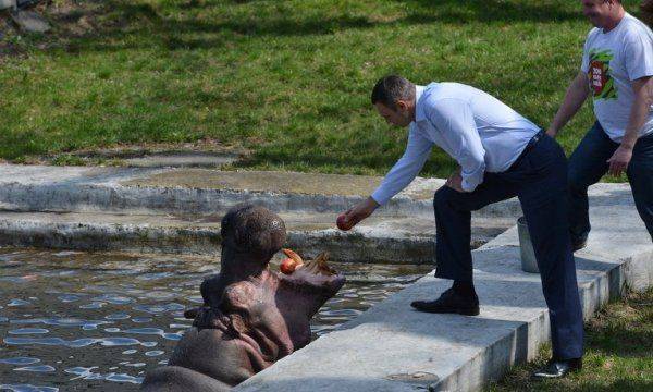 Зоопарк от Кличко за 300 миллионов  Зоопарк от Кличко за 300 миллионов