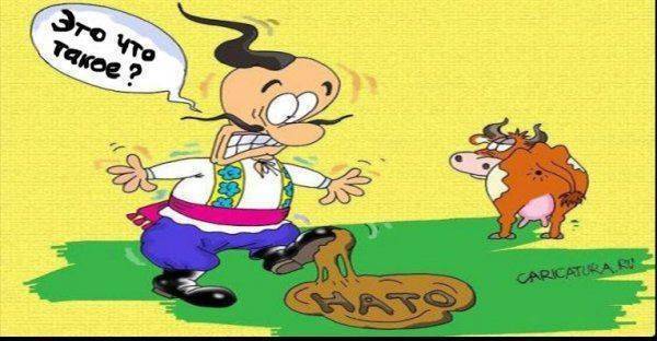 Последняя соломинка Порошенко Последняя соломинка Порошенко