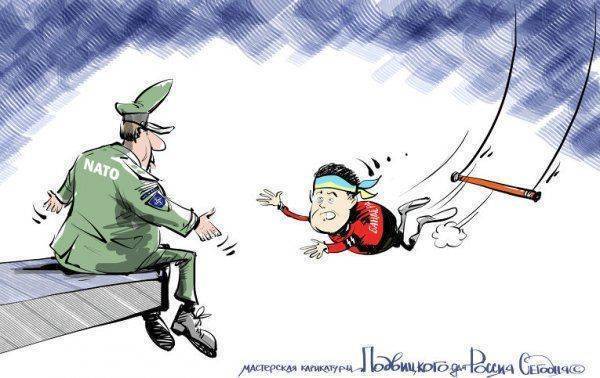 Украине не светит НАТО Украине не светит НАТО