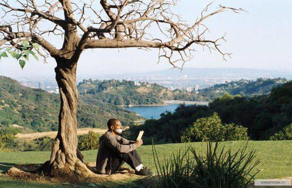 5 уроков успеха, которые преподносит нам природа 5 уроков успеха, которые преподносит нам природа