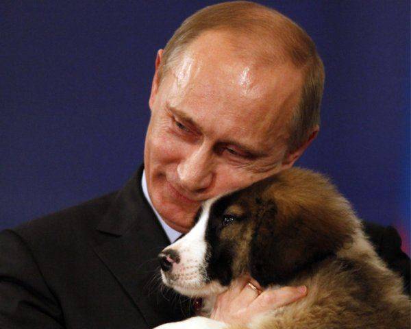 Тень Турции Тень Турции