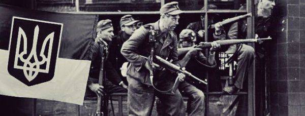 Украинский Дирлевангер для Донбасса Украинский Дирлевангер для Донбасса