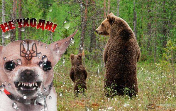 Украинские спортсмены возвращаются домой Украинские спортсмены возвращаются домой