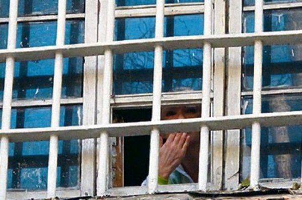 Пчеловод Ющенко ужалил Кыцю Тимошенко Пчеловод Ющенко ужалил Кыцю Тимошенко