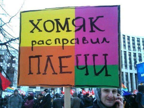 "Грозовое молчание" хомячков "Грозовое молчание" хомячков