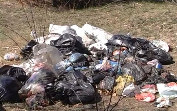 В Запорожской области, в лесополосе, вблизи поселка Камышеваха правоохранители обнаружили около тонны клинических (биологических) отходов. В Запорожской области, в лесополосе, вблизи поселка Камышеваха правоохранители обнаружили около тонны клинических (биологических) отходов.