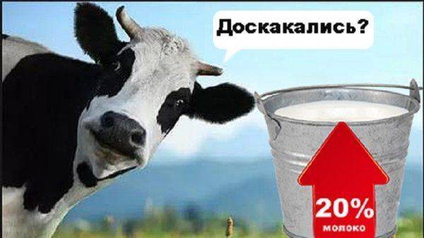 Украинцы останутся без молока, осенью цена вырастет на 20% Украинцы останутся без молока, осенью цена вырастет на 20%
