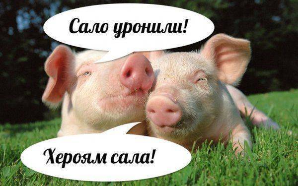 Святость битвы при Коровнике Святость битвы при Коровнике