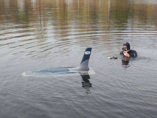 “Пингвины” обезопасят Керченский мост от диверсантов “Пингвины” обезопасят Керченский мост от диверсантов