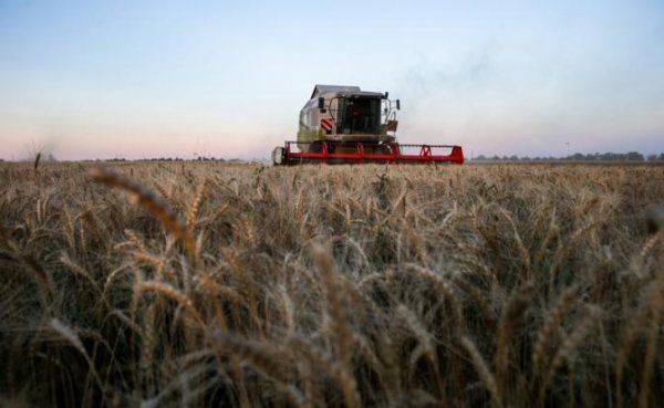 За какие еще гадости Крыму благодарить Киев? За какие еще гадости Крыму благодарить Киев?