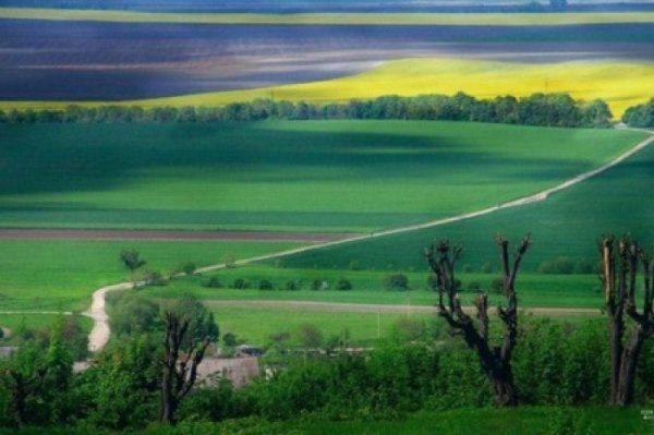 МВФ требует от Украины продавать землю МВФ требует от Украины продавать землю