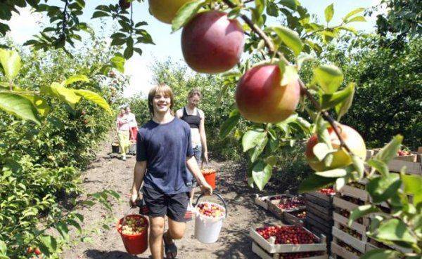 Не остатки с барского стола, а нормальную еду Не остатки с барского стола, а нормальную еду