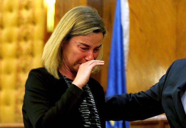 Сходка Сходка