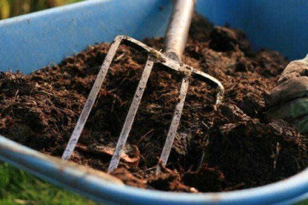 Навоз – секретное оружие украинцев Навоз – секретное оружие украинцев