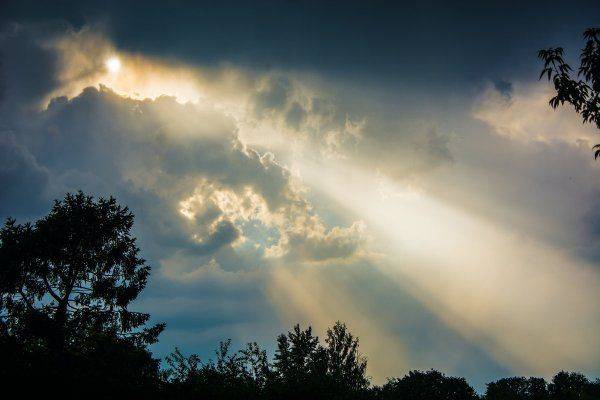 На злобу дня На злобу дня