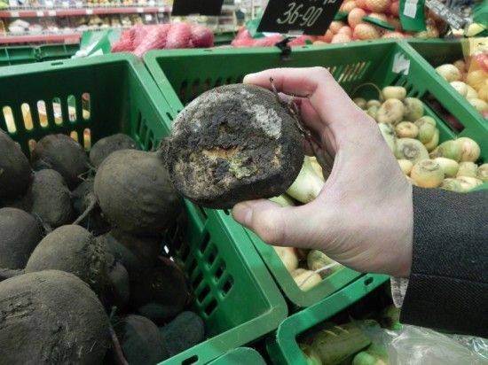 Продукты секонд-хенд: на Украине набирают популярность товары с душком и червями Продукты секонд-хенд: на Украине набирают популярность товары с душком и червями