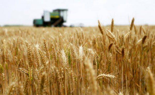 США и Канада теряют хлебные места США и Канада теряют хлебные места