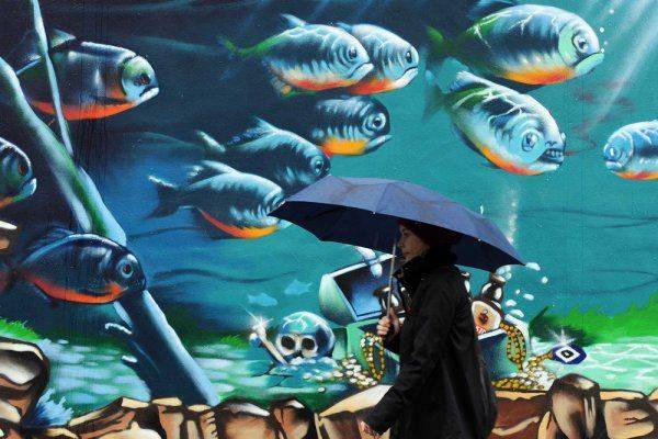 Красная и черная Красная и черная