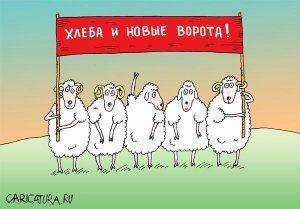 Ильдар Дадин и его приключения в колонии №7 Ильдар Дадин и его приключения в колонии №7