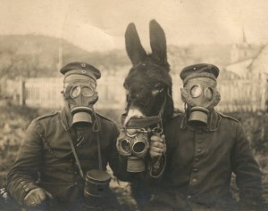 В память о Первой мировой войне склоните головы живые.. В память о Первой мировой войне склоните головы живые..