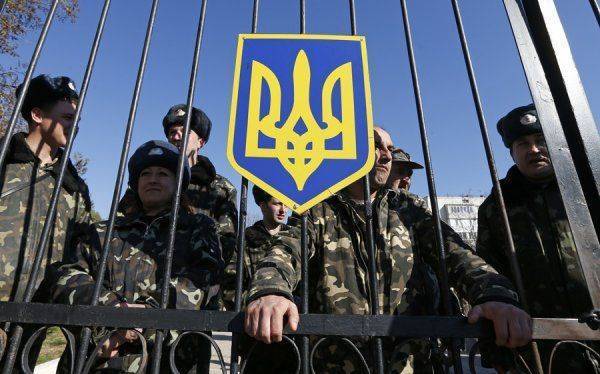 Раскрыта крупная афера Минобороны Украины Раскрыта крупная афера Минобороны Украины