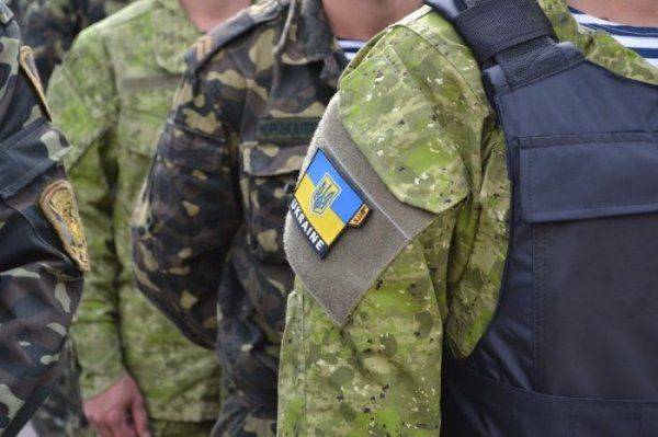 Раскрыта крупная афера Минобороны Украины Раскрыта крупная афера Минобороны Украины