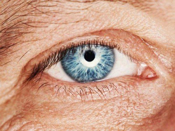 Российские учёные вырастили из перепрограммированных клеток сетчатку глаза человека для  Российские учёные вырастили из перепрограммированных клеток сетчатку глаза человека для