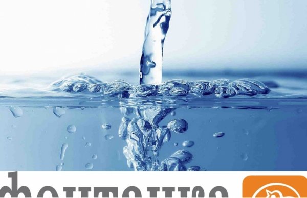 «Фонтанка» льёт воду вместо фактов «Фонтанка» льёт воду вместо фактов