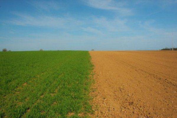 Транш отменяется. Латифундисты Порошенко против МВФ Транш отменяется. Латифундисты Порошенко против МВФ