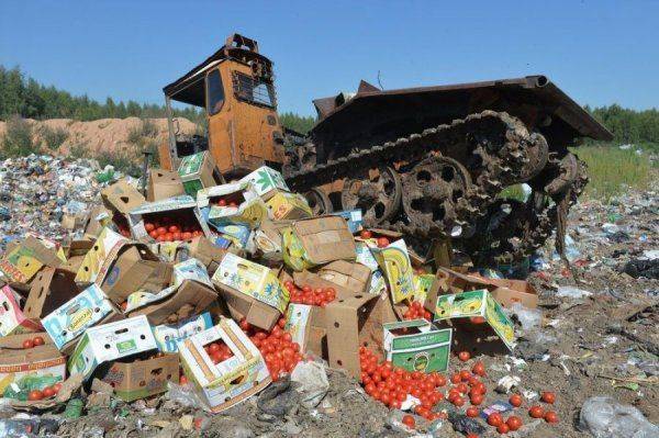 Сжигание санкционных продуктов: кто убивает бедняков? Сжигание санкционных продуктов: кто убивает бедняков?