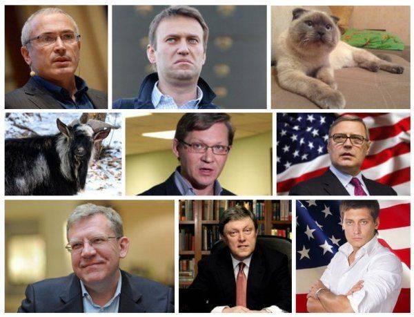 Кот Барсик намерен побороться за пост президента России Кот Барсик намерен побороться за пост президента России