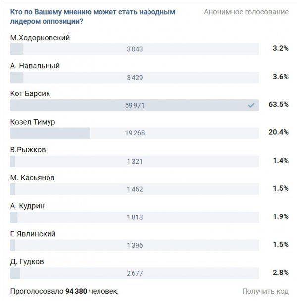 Кот Барсик намерен побороться за пост президента России Кот Барсик намерен побороться за пост президента России