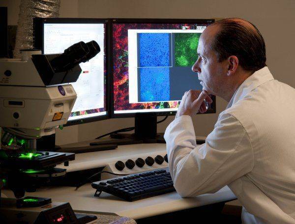 Новейшее лекарство от рака проходит испытания в России Новейшее лекарство от рака проходит испытания в России