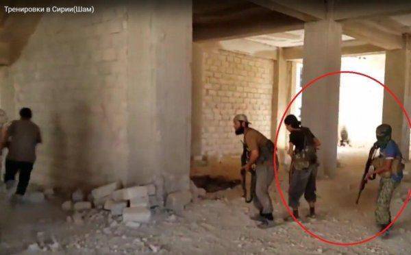 Миллионы на ветер: как проваливается сирийская кампания Миллионы на ветер: как проваливается сирийская кампания