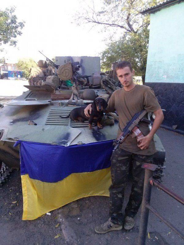 Обзор боевого применения БМД в конфликте на востоке Украины Обзор боевого применения БМД в конфликте на востоке Украины