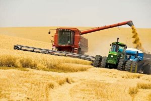 В чьих интересах создается Украина - "аграрная сверхдержава"? В чьих интересах создается Украина - "аграрная сверхдержава"?
