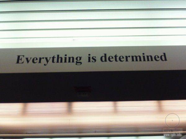 Аэропорт Денвер (США) - международный аэропорт или ковчег для “избранных”? Аэропорт Денвер (США) - международный аэропорт или ковчег для “избранных”?
