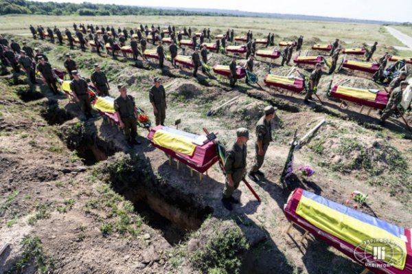 Портреты погибших воинов АТО будут висеть в школах и ВУЗах Украины Портреты погибших воинов АТО будут висеть в школах и ВУЗах Украины
