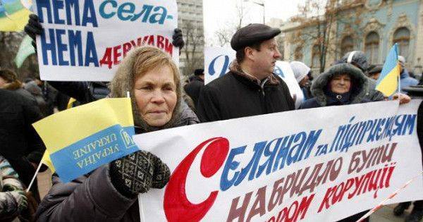 Чума на свиные головы, или Сала не будет! Чума на свиные головы, или Сала не будет!