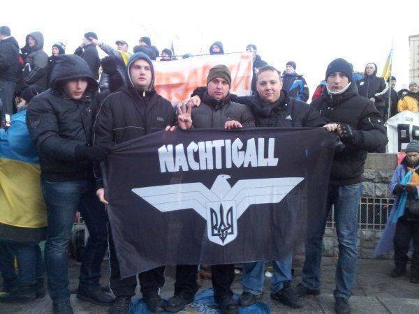 Западные ученые: Украина становится рассадником фашизма Западные ученые: Украина становится рассадником фашизма