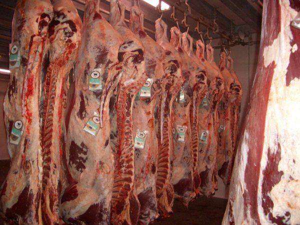 Мексика выбирает Россию Мексика выбирает Россию