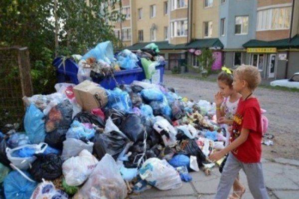 Во Львове из-за мусора закрывают школы и детсады. На очереди - заводы и коммунальные предприятия  Во Львове из-за мусора закрывают школы и детсады. На очереди - заводы и коммунальные предприятия