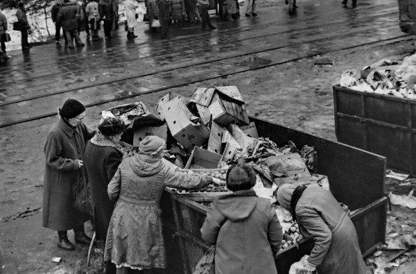 Украинцы отрезают газовые плиты и надеются выжить за счет огородов Украинцы отрезают газовые плиты и надеются выжить за счет огородов