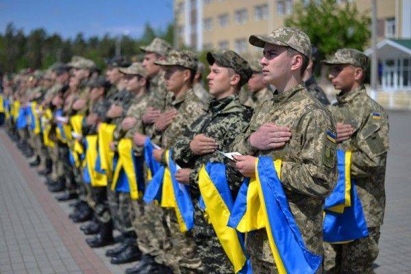 Украинской агрессии нужно свежее мясо Украинской агрессии нужно свежее мясо